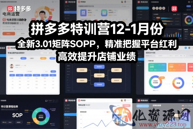 拼多多特训营12-1月份，全新3.01矩阵Sop，精准把握平台红利，高效提升店铺业绩