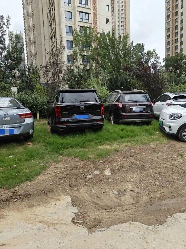 郑州治理违停治出了新问题,小汽车开始纷纷开上人行道,碾压绿化带!