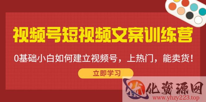 视频号短视频文案训练营：0基础小白如何建立视频号，上热门，能卖货！插图