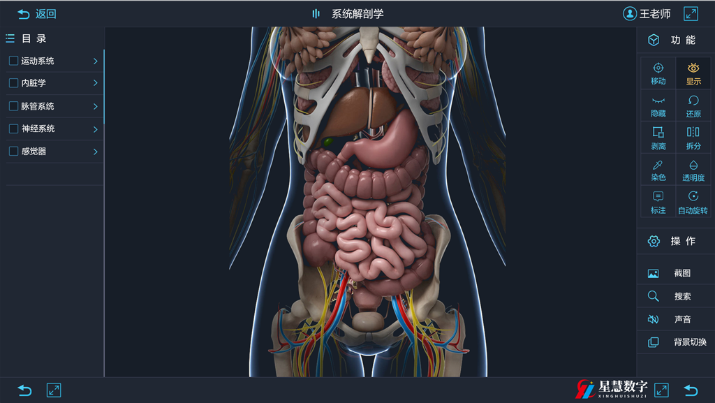人体3D解剖：革新医学教育的利器 - 知乎