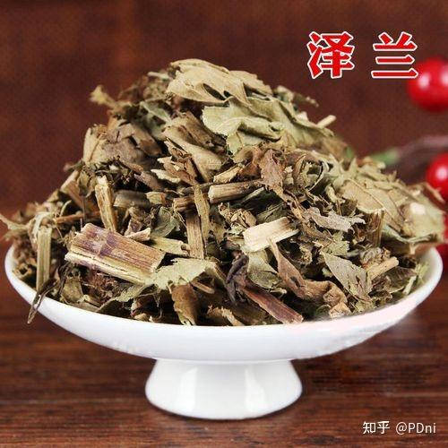 泽兰的功效和作用 - 知乎