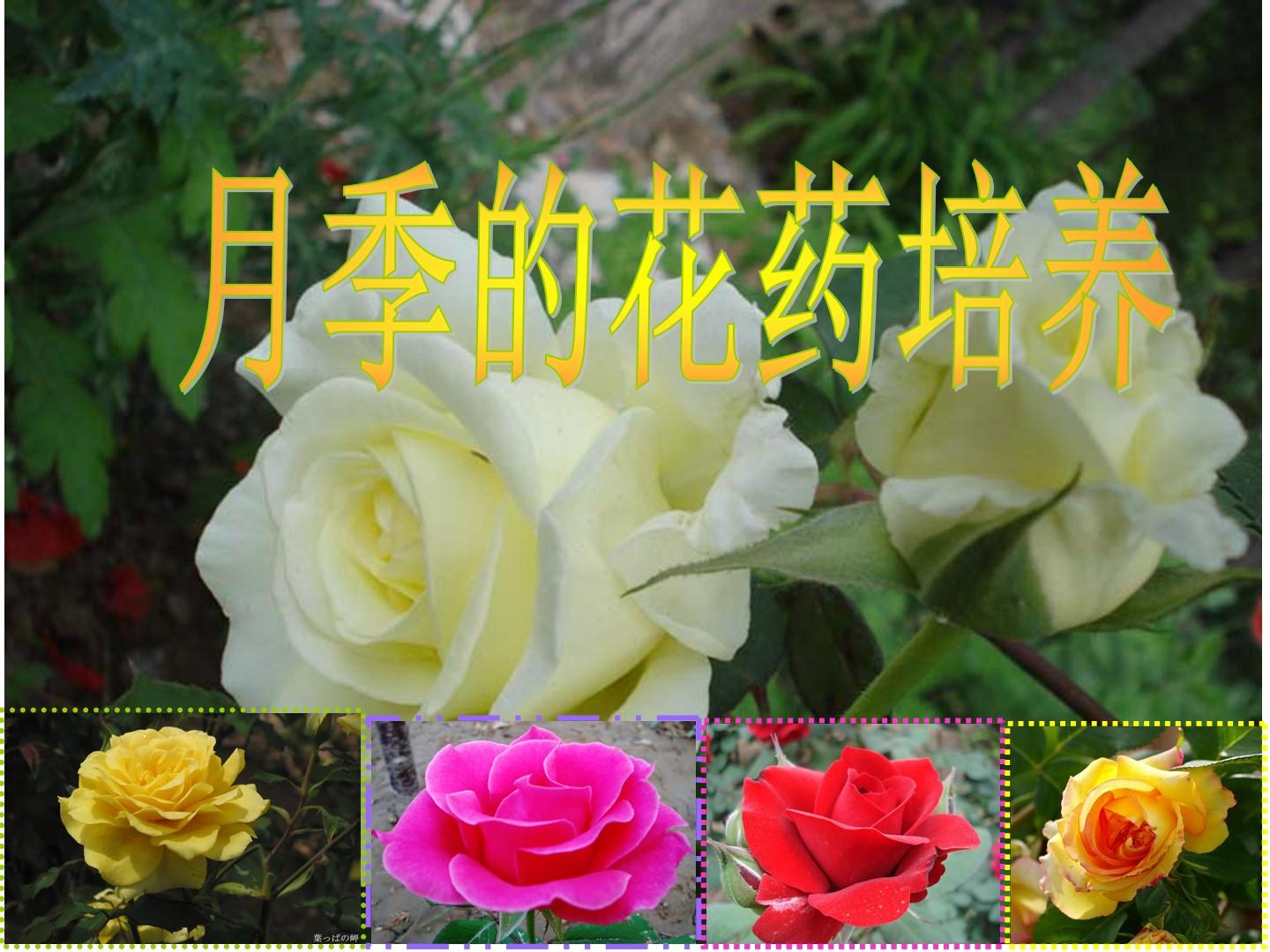 v2-3e13c010ba1e5c530fd01e49e82605f5_1440w.jpg?source=172ae18b