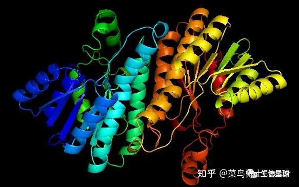 [分子对接] 大分子蛋白的处理和小分子的绘制 - 知乎
