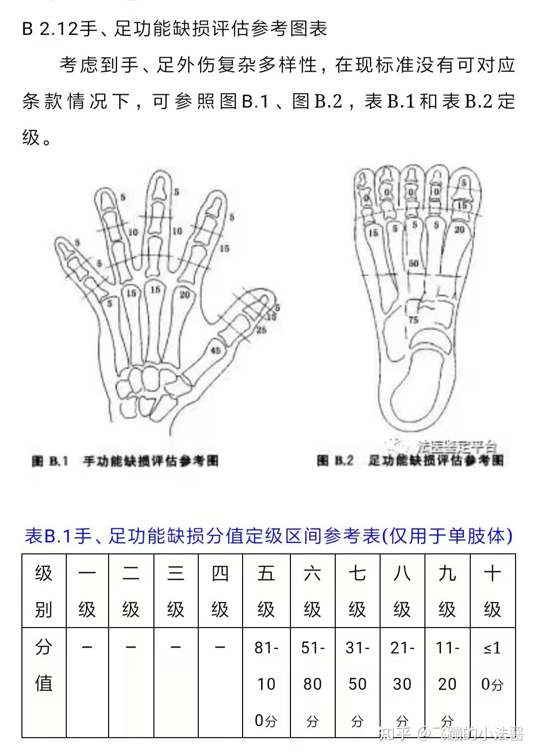 八级手指伤残图图片