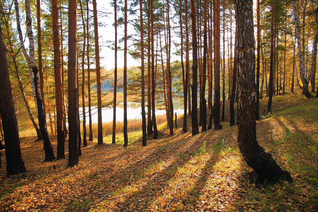 3. 学区名校一览