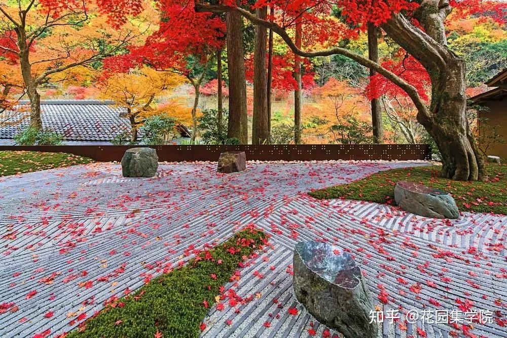 日式庭院该配什么植物？怎么配？看这里~ - 知乎