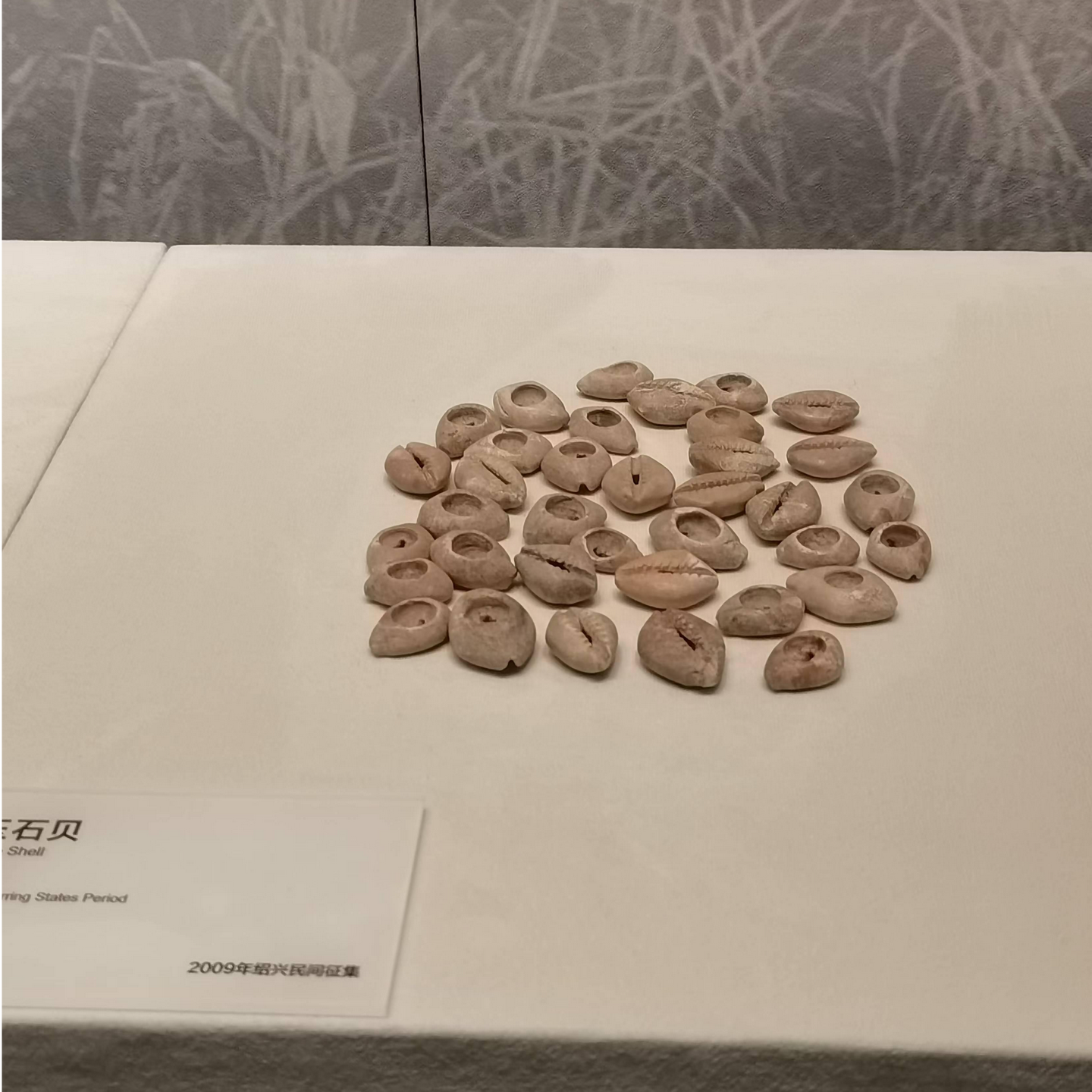 博物馆里的小钱钱：货币时代 - 知乎