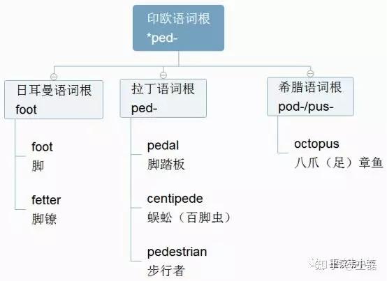 到底什么是印欧语词根? - 知乎