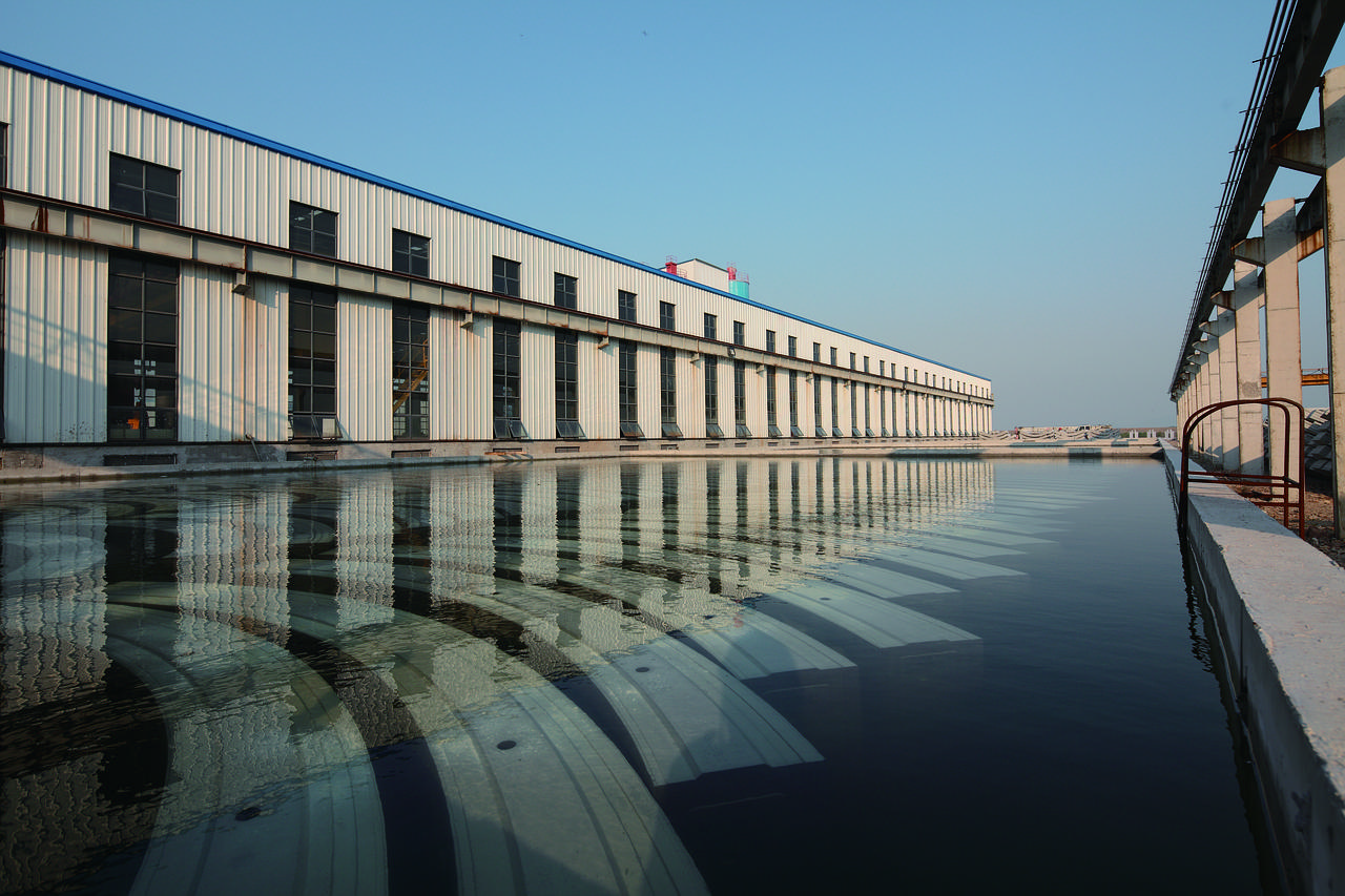 什么花是水养的