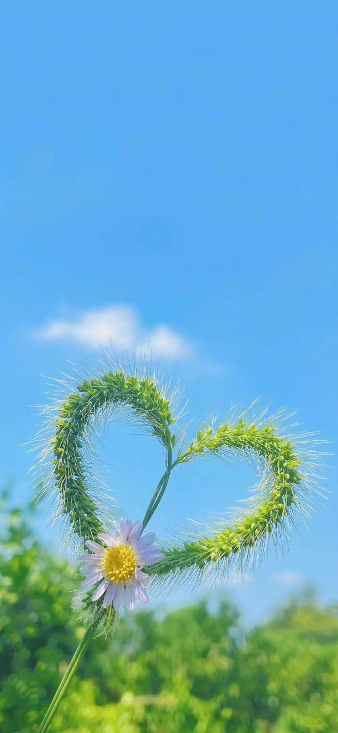 好看的背景图高清干净图片