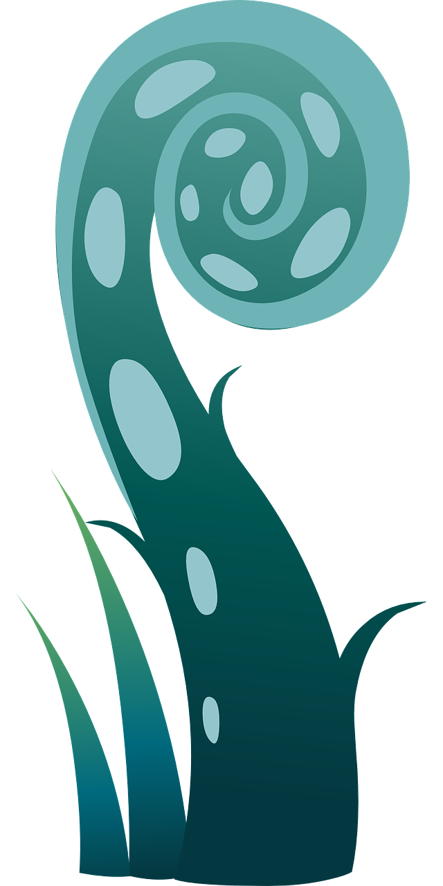 卷发筒多少钱一个