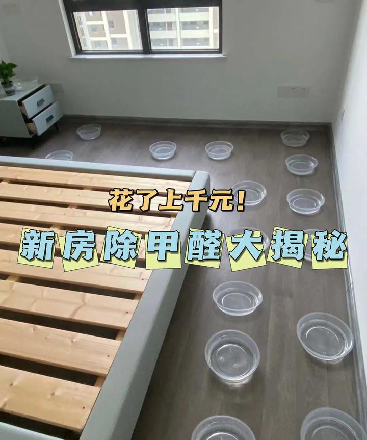 新房除甲醛方法大揭秘!花了上千元哪些是智商税? - 知乎