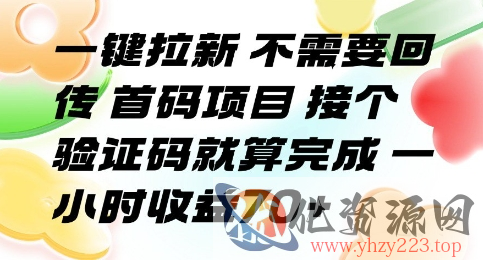 一键拉新 不需要回传 首码项目 接个验证码就算完成 一小时收益70+【揭秘】