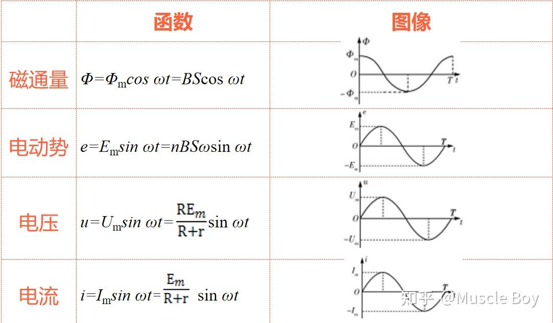 中性面位置图片