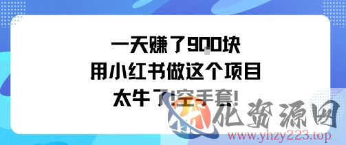 一天挣了9张用小红书做这个项目太牛了，空手套