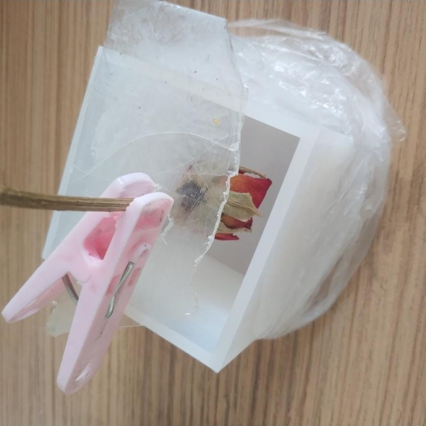 AB滴胶制作玫瑰花头标本方块详细教程 - 知乎
