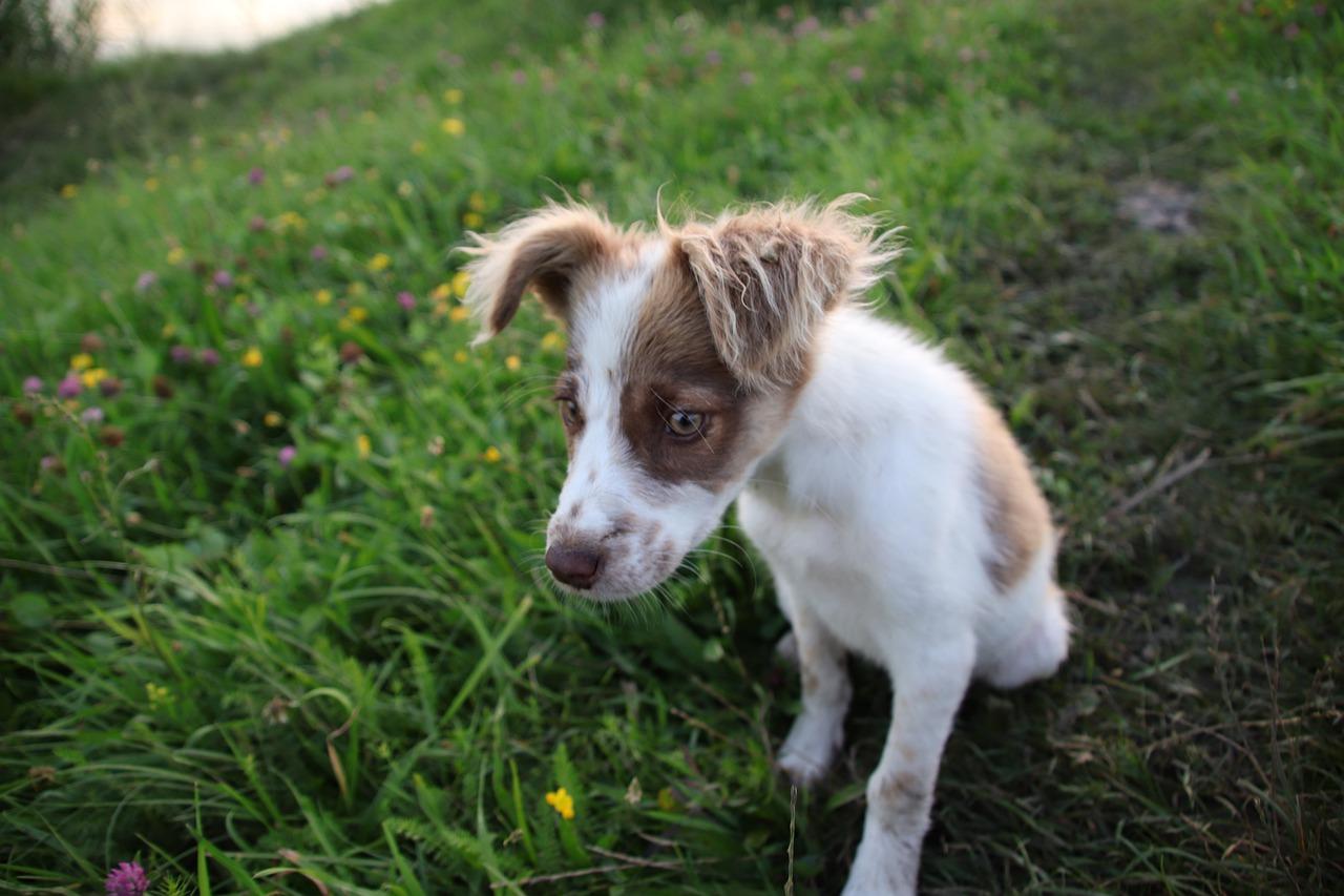 4. 配套设施考量