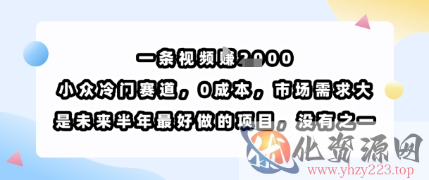 一条视频挣1k，小众冷门赛道，0成本，市场需求大，是未来半年最好做的项目，没有之一