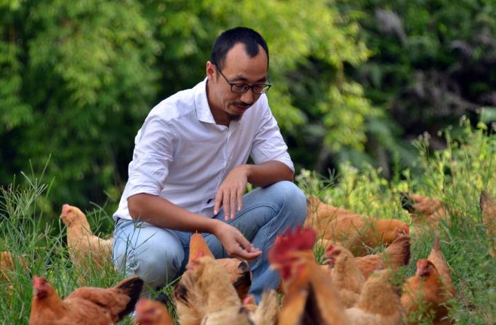老沈发起“养鸡计划”众筹，复兴乡村文明 - 知乎