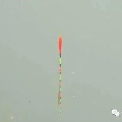 浅谈硬尾和软尾浮漂的一些区别 - 知乎