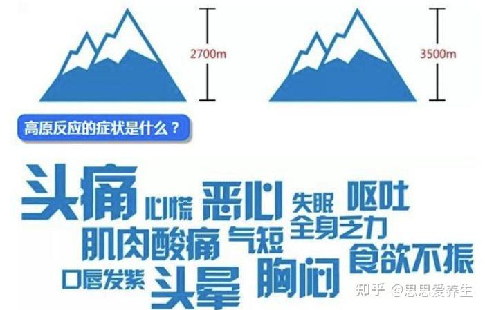 高反是什么?你会高反吗?遇到高反怎么办? - 知乎
