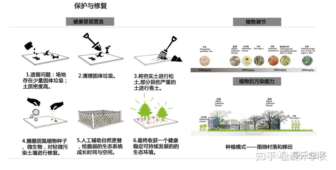 2021毕设配套素材10丨植物分析psd大汇总 - 知乎