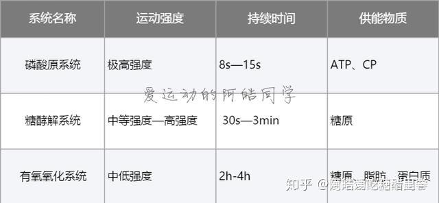 健身減脂時有氧運動和力量訓練應該怎樣合理安排