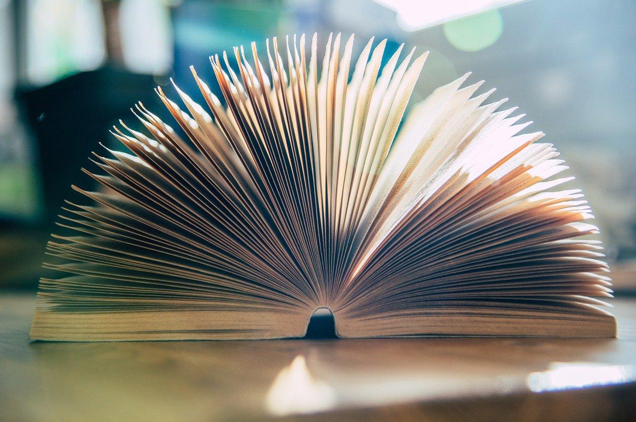 4. 棕榈园静谧居