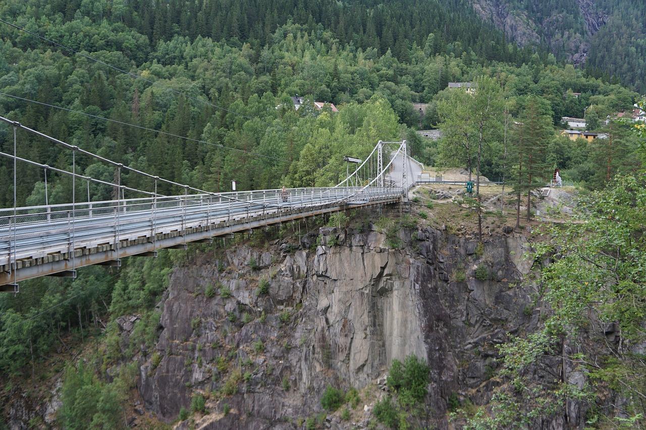 绿化率多少合适?