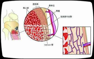 v2-3ffe2b71f2deaa38c672caea714ee881_1440w.jpg?source=172ae18b
