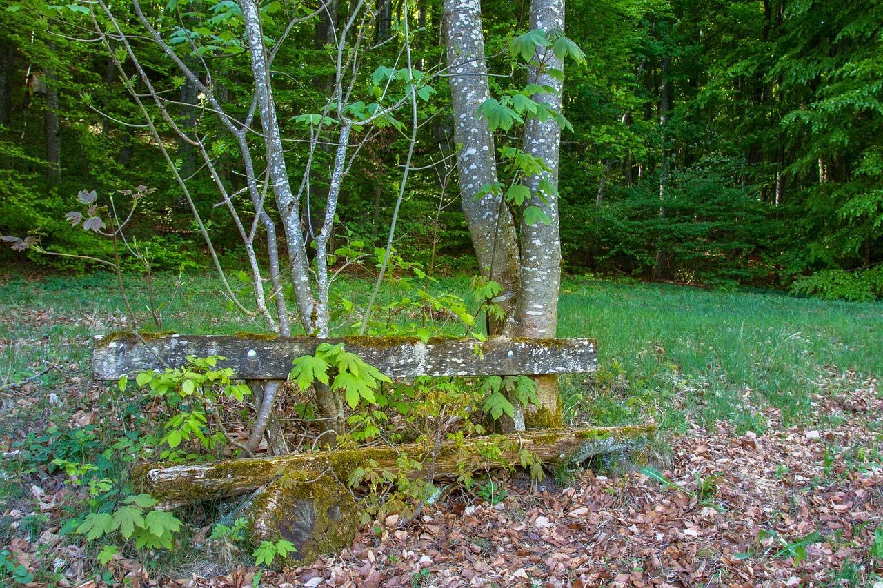 老板凳什么意思