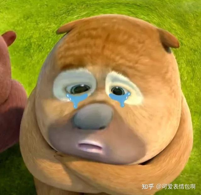 熊大熊二表情包|美女请嫁给我,别逼我求你 - 知乎