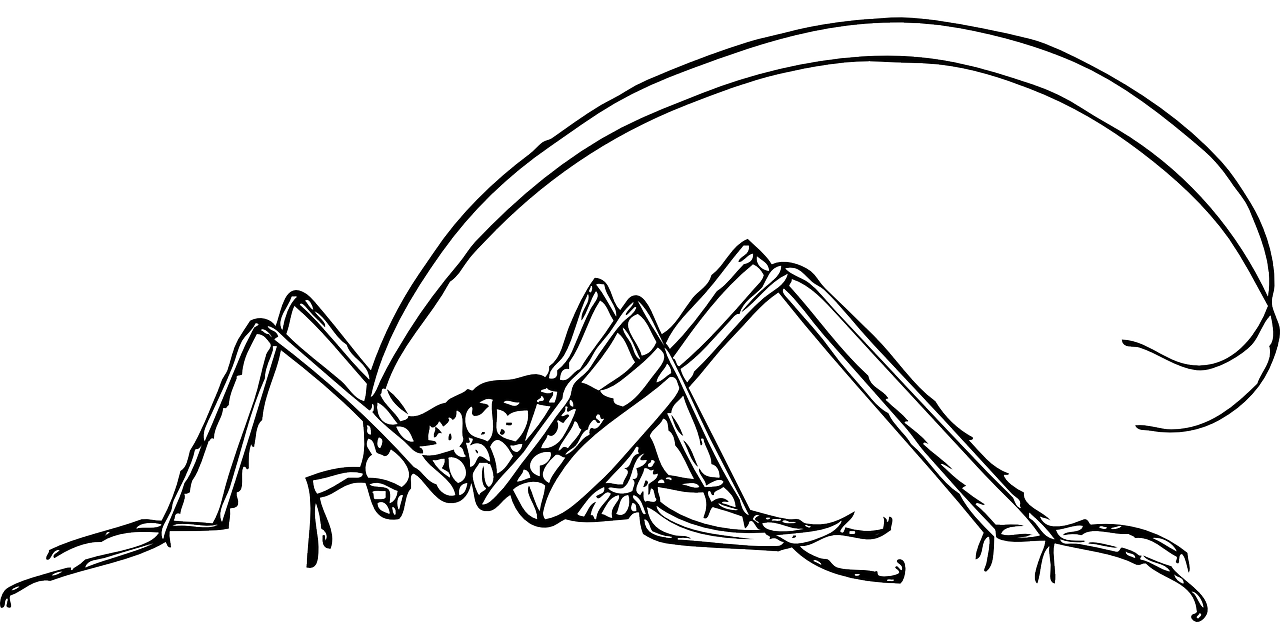 4. 粮食作物虫害