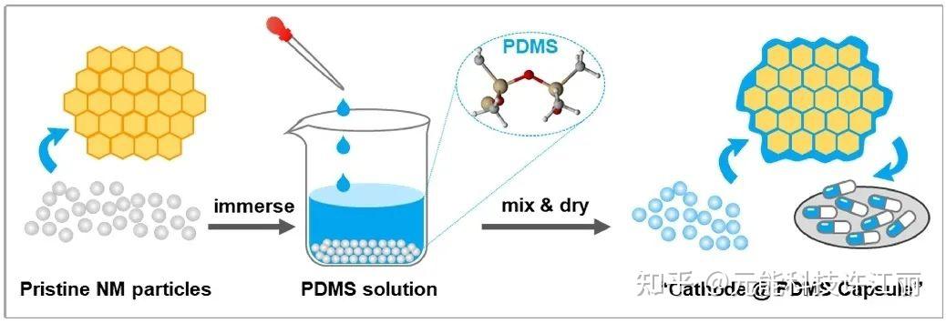 文献赏析：具有极佳空气储存稳定性和电化学性能的PDMS胶囊设计修饰无钴富镍层状正极材料 - 知乎