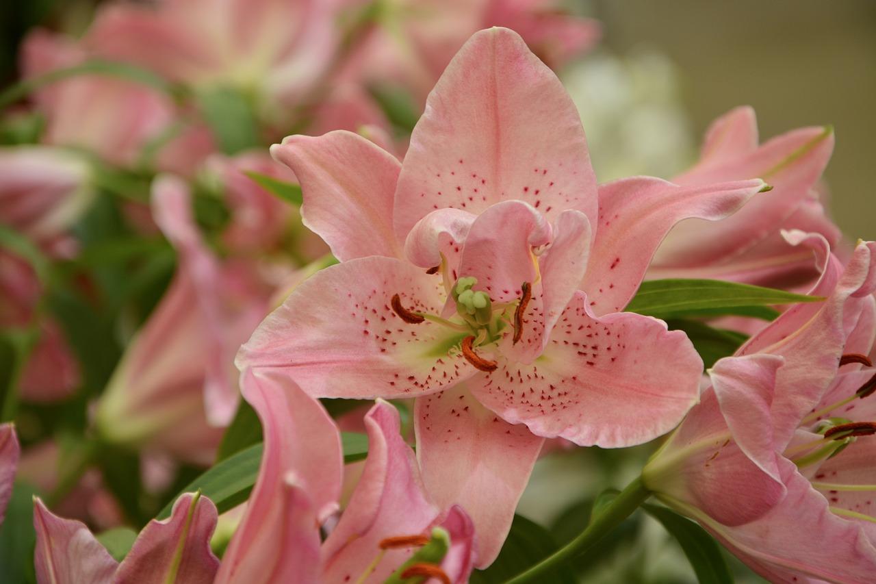 3. 陶瓷设计风格