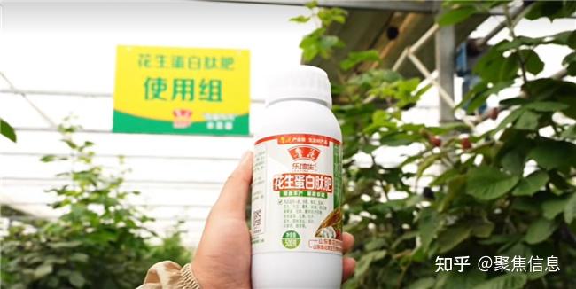鲁花科技助力京郊果蔬提质增产 - 知乎