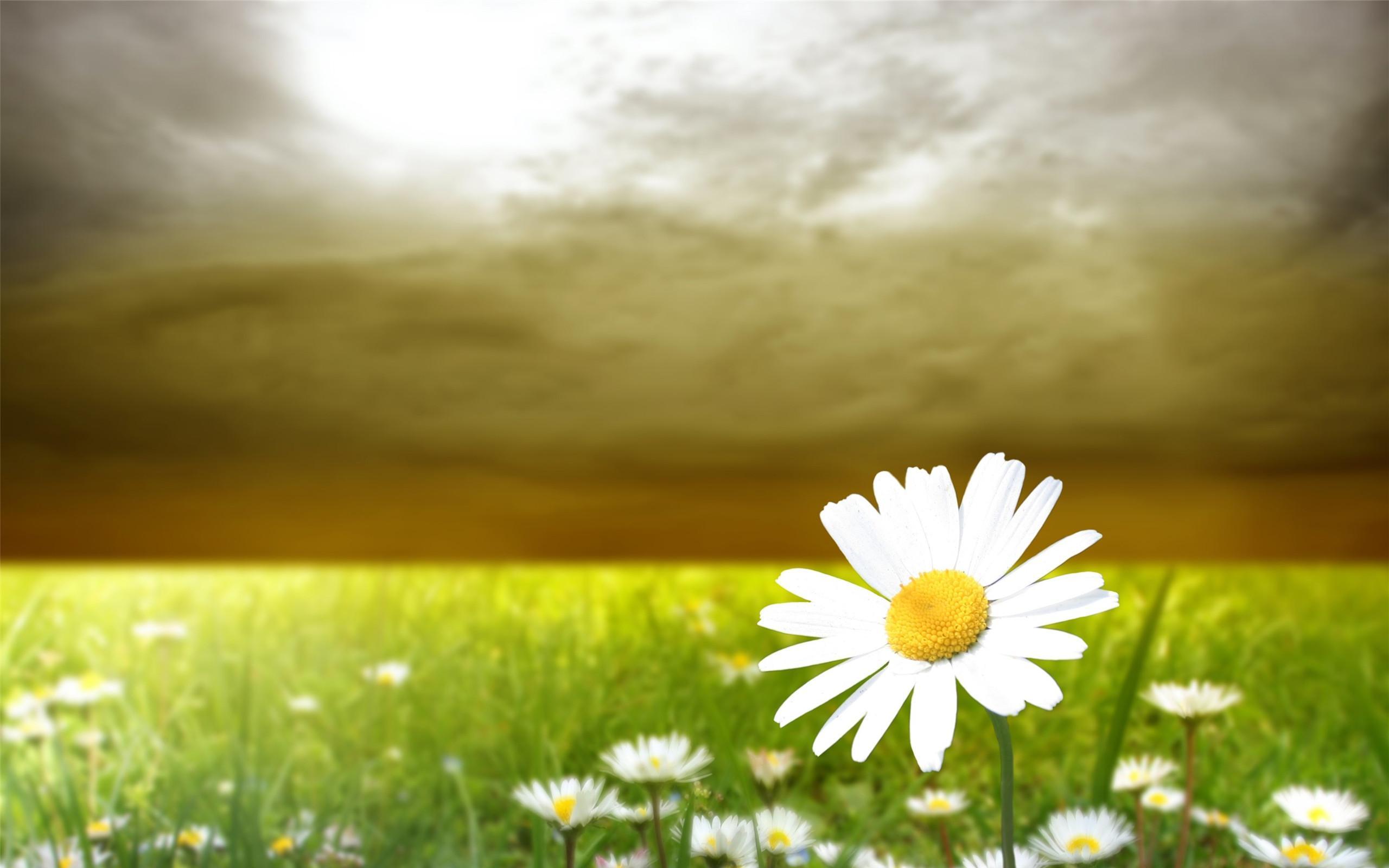 怎样才能帮助一个沉浸在过去的失败走不出来而自卑