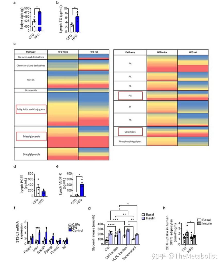 代谢学人--Nature Metabolism:高脂饮食后,我的淋巴管漏了... - 知乎