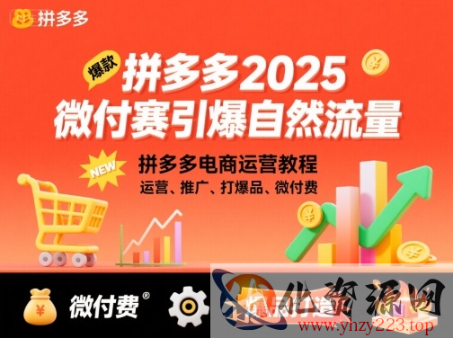 拼多多2025微付费引爆自然流量，拼多多电商运营教程，运营、推广、打爆品、微付费（更新）