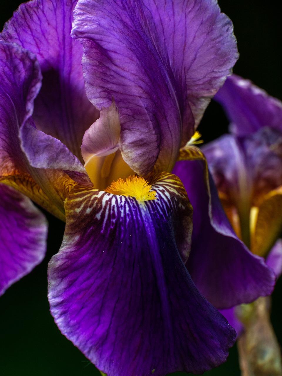 鱼刺刺到喉咙怎么办