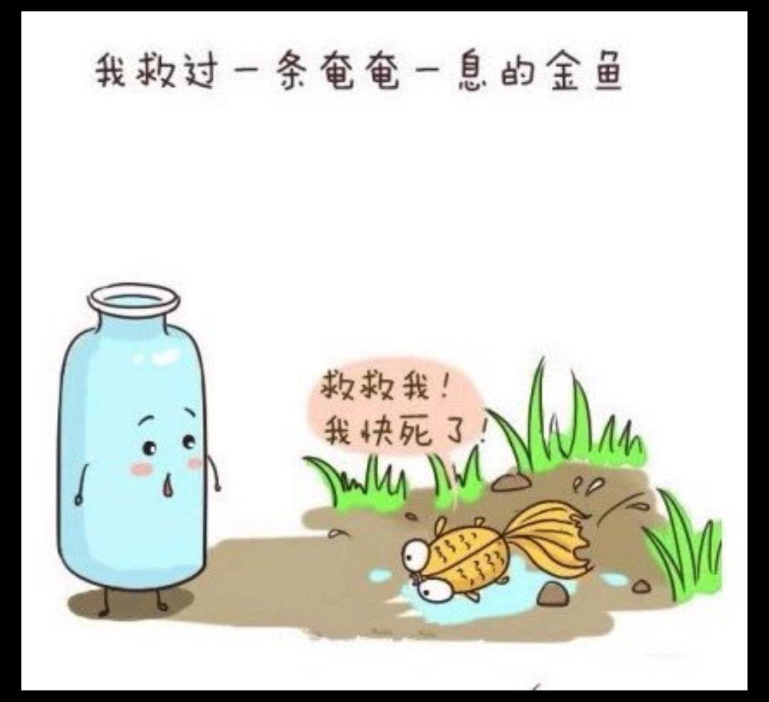 有哪些让你醍醐灌顶的人生金句