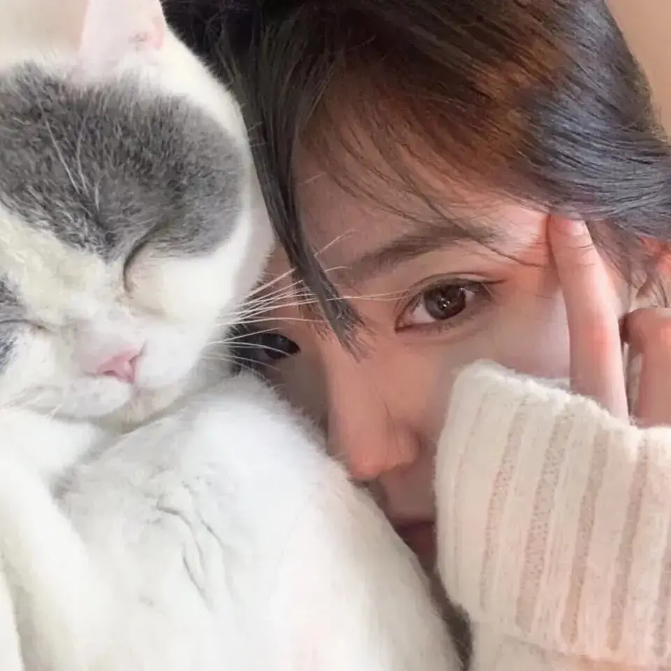 有没有女孩猫咪的头像