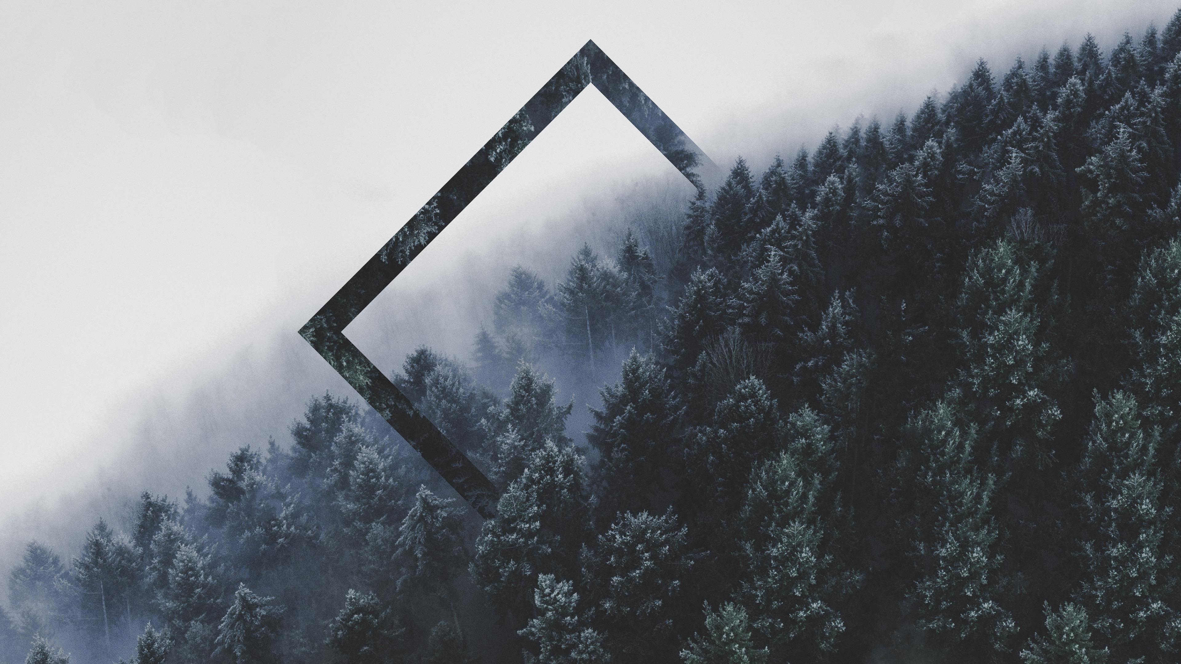 有哪些让你一眼就爱上的ipad壁纸