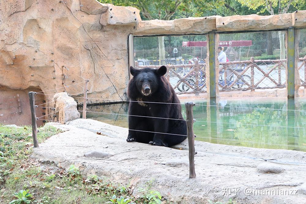 中國最好的動物園在哪裡