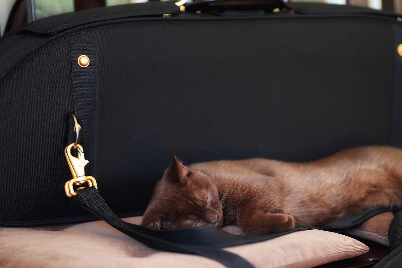 旅行包有什么牌子好