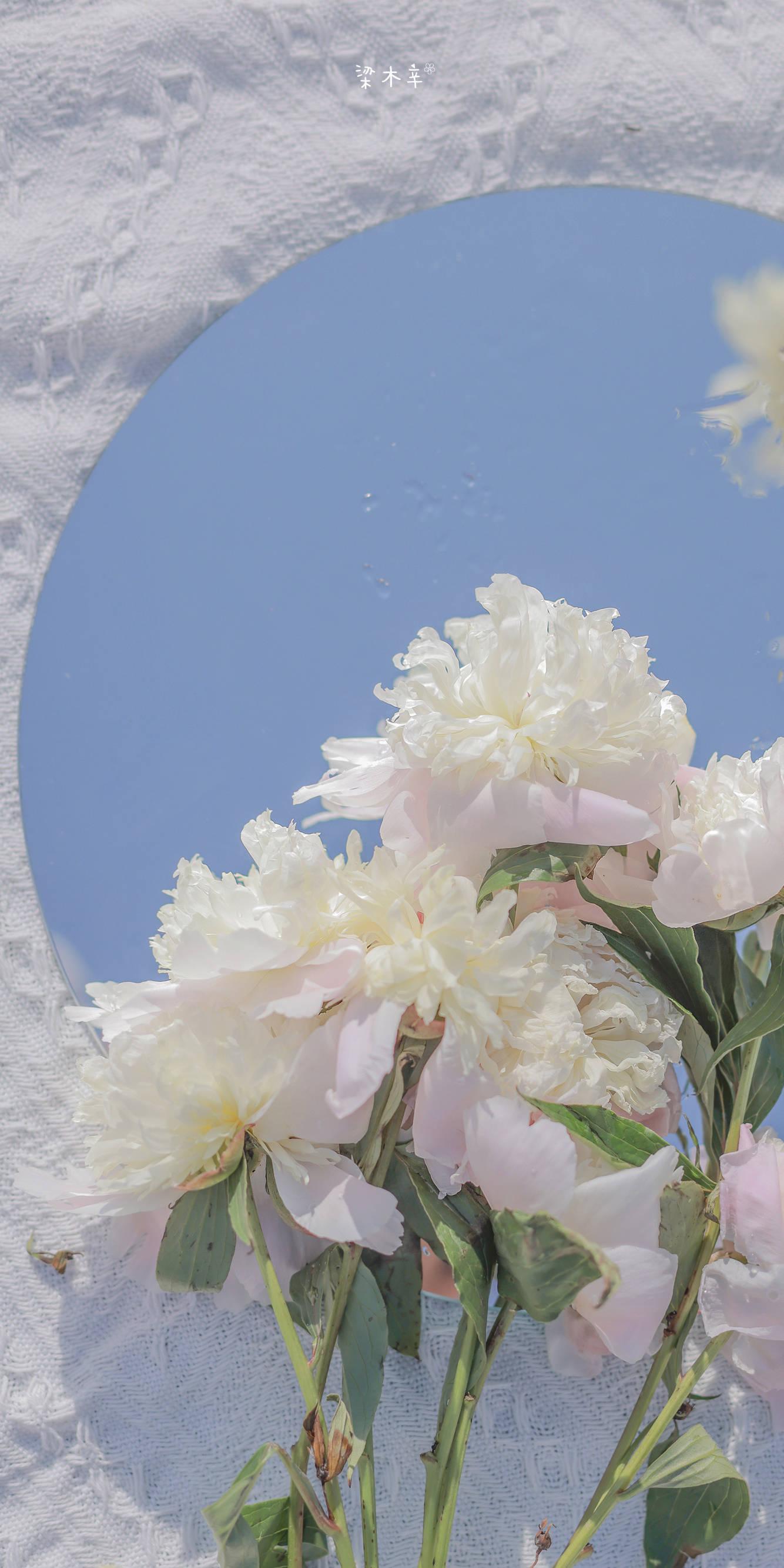 有什么你收藏很久的小众文案吗