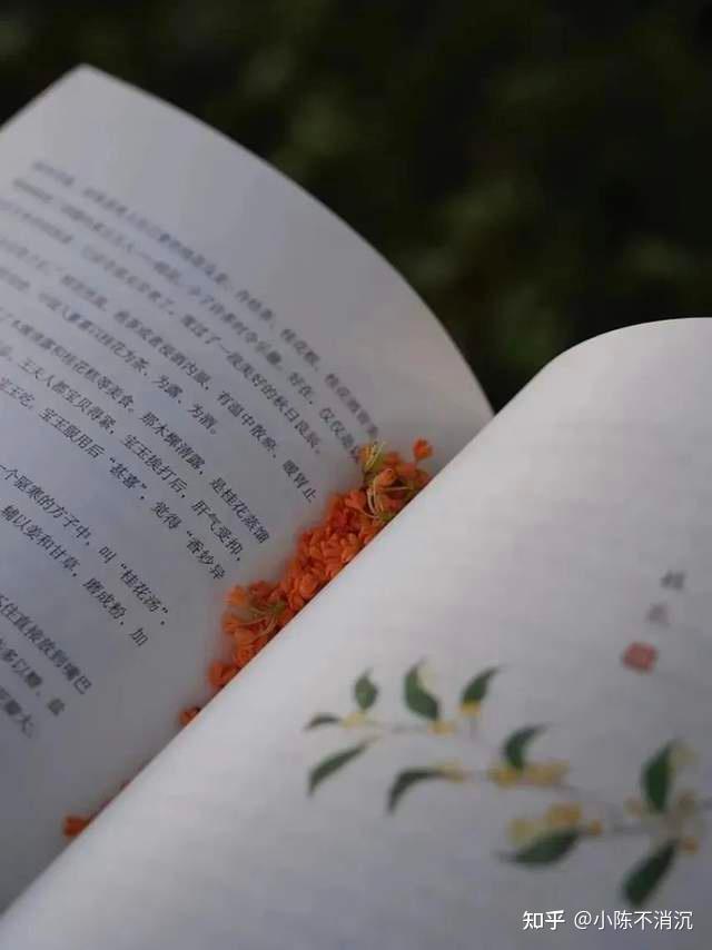 关于桂花的文案|秋风起，满城尽是桂花香 - 知乎