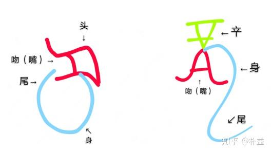 说「⿱吂䏎」字 - 知乎