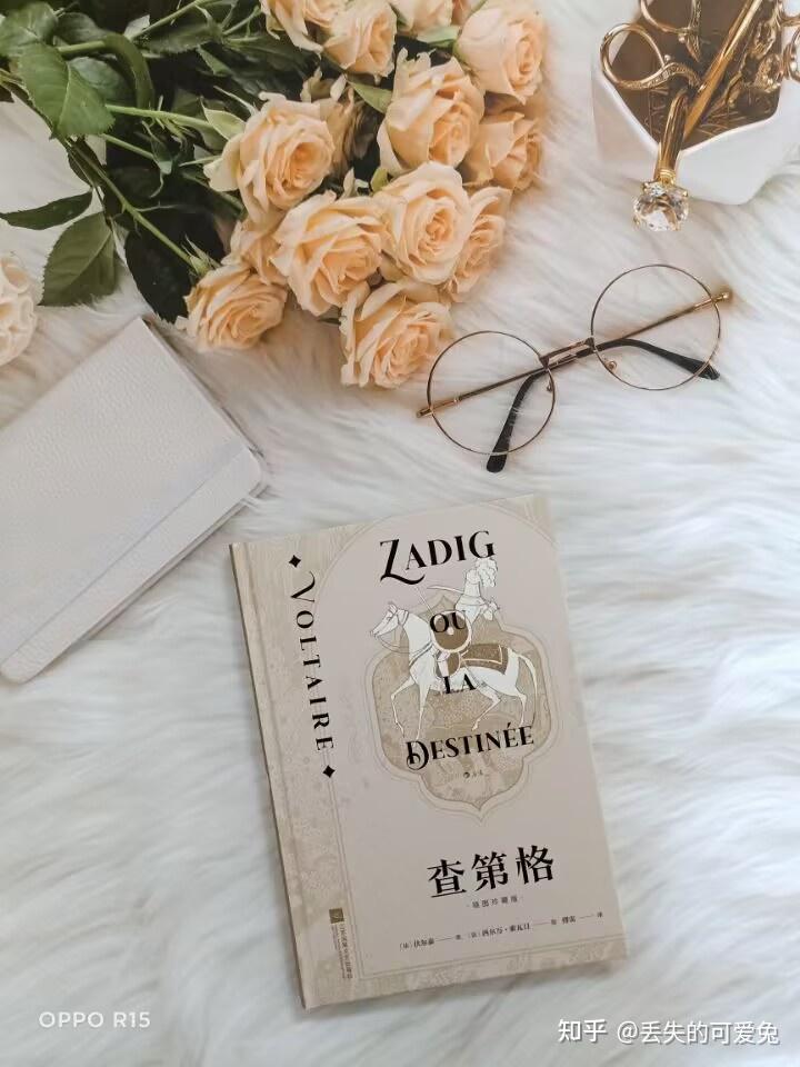 经典哲学寓言——《查第格》 - 知乎