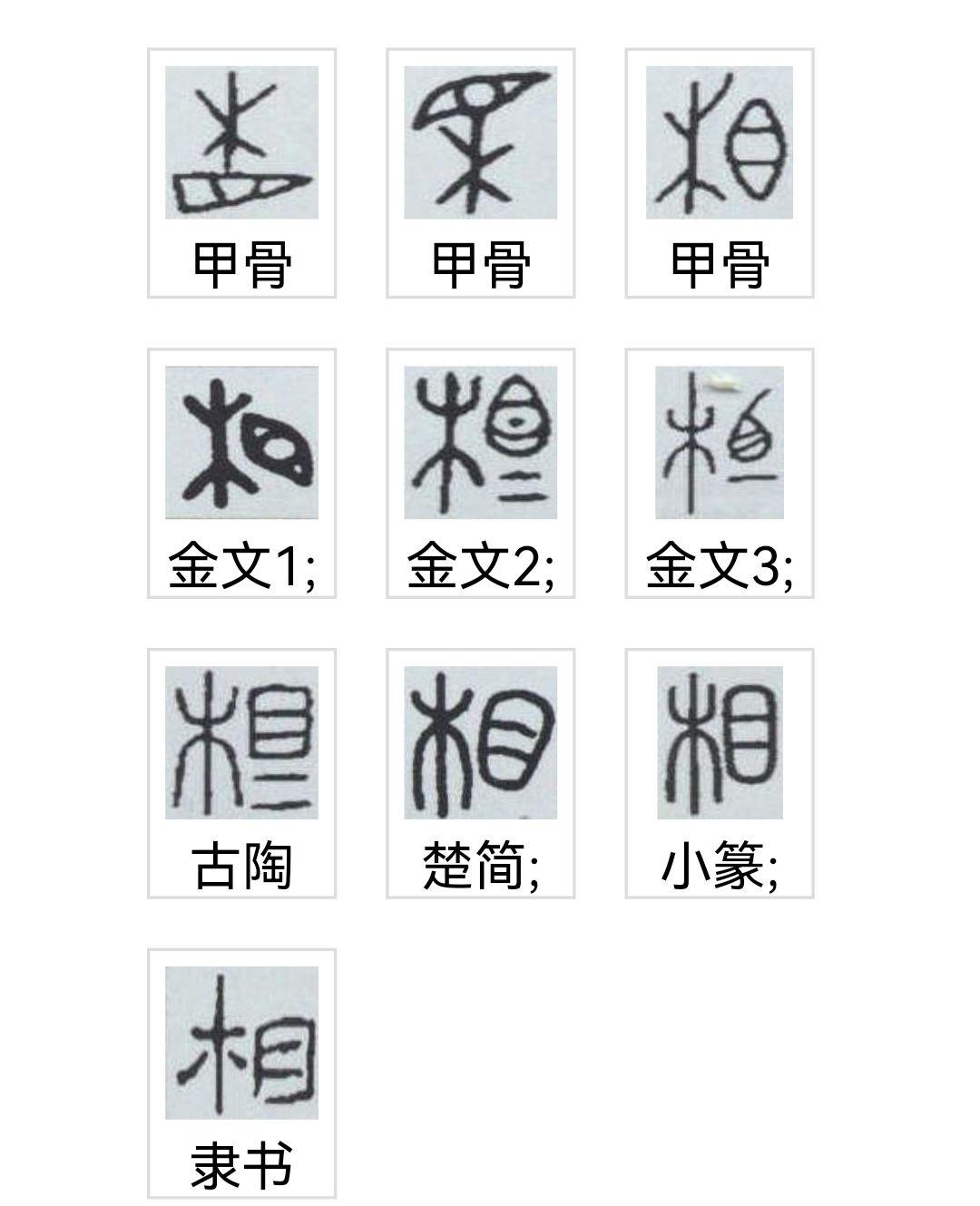 相字的意义怎么那么多,有大神解释下字意字形的发展和关联吗?